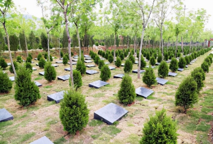 佛山陵园有树葬吗？价格多少钱？